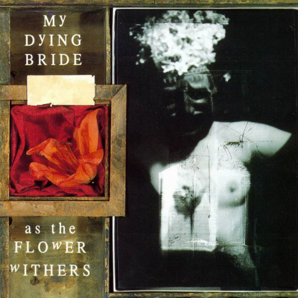 ¿Qué estáis escuchando ahora? My-dying-bride-as-the-flower-withers-1992